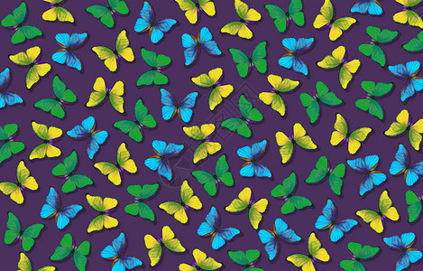 紫背景的多彩色月光蝴蝶多彩蝴蝶的装饰品背景图片