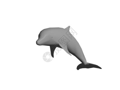灰海豚跳出水面图片