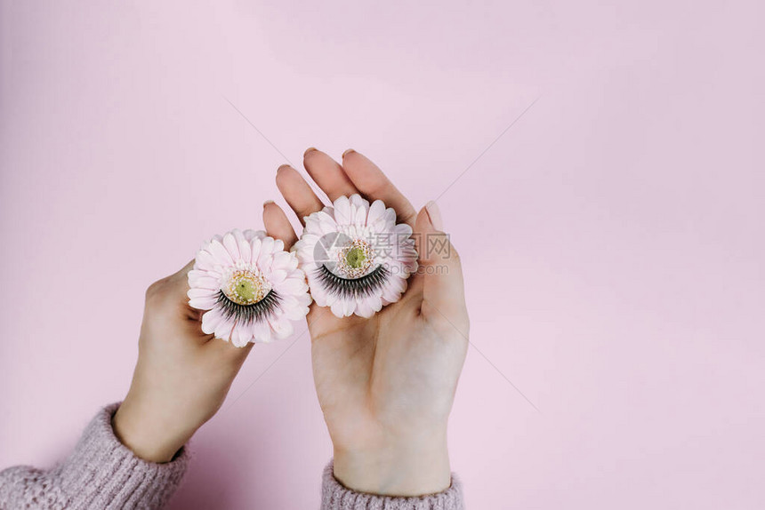 眼睛的颜色形象眼泪延伸菊花被一个可爱女孩用假睫毛握在她手上图片