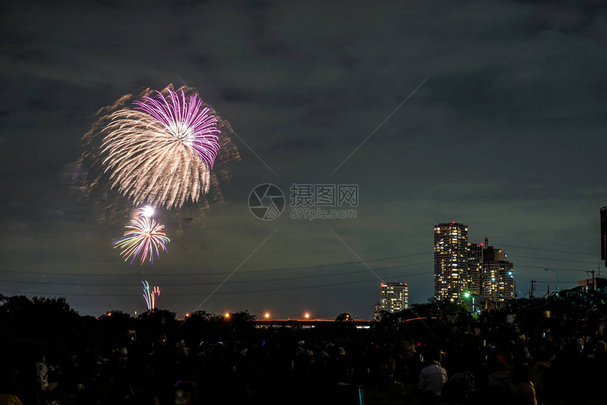 多摩川烟火大会2018年图片