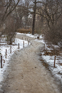 冬季城市公园中无人居住步行图片