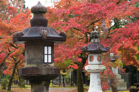 日本京都日本寺庙Shinnyodo图片