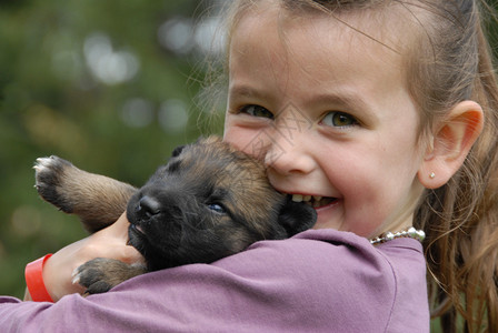 小女孩和她的幼小狗纯种的比利时图片
