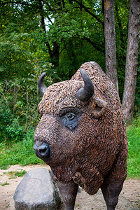 保留地领土上的中俄罗斯野牛纪念碑这图片