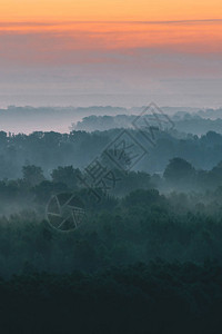 清晨在阴霾下的森林顶部的神秘景观图片