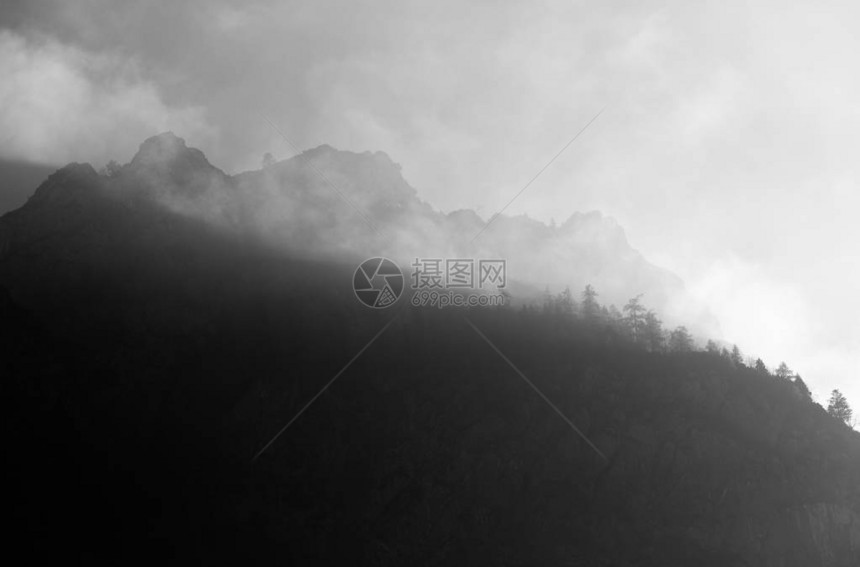 美丽的雾山森林景观的风景照图片