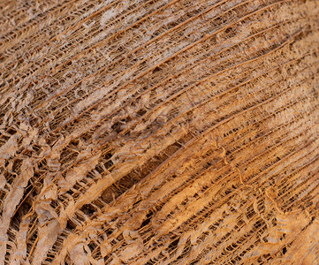 天然木材纹理表面图片