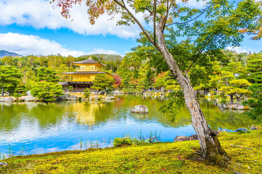 美丽的金阁寺庙京都日本图片