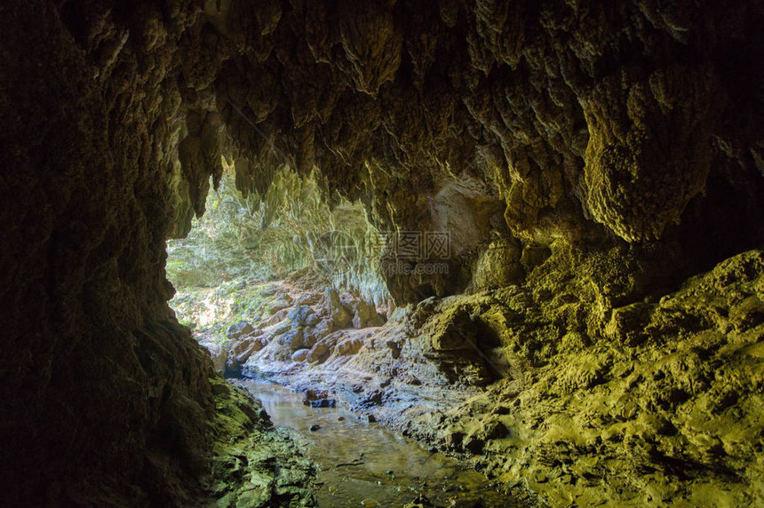 西表岛的洞穴图片