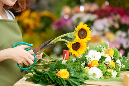 花店为花束切向日葵的裁剪图像图片