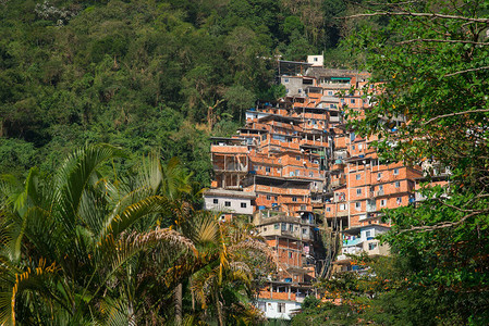 在巴西里约热内卢热带森林环绕的巴西Favela红砖房周围被图片