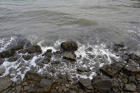 河水或湖水海浪和海图片