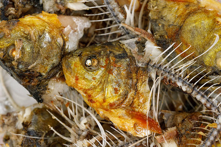 Bones和鱼头纹理背景剩下的炸鱼背景图片