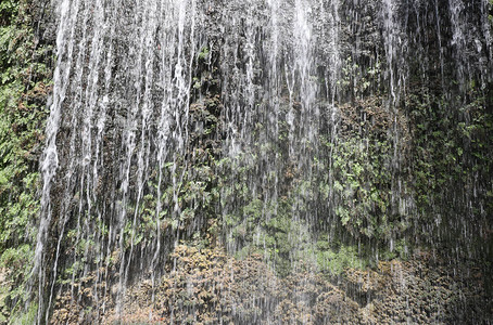 大瀑布夏季山上和苔稼上图片