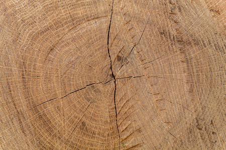 褐色开裂的木材纹理图片
