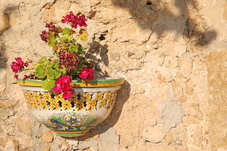 花盆和西里陶瓷图片