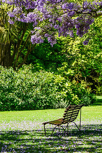 墨尔本皇家植物园的Jac背景