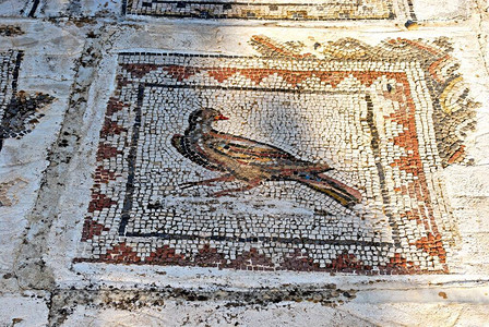 欧洲的罗马废墟鸟屋图片