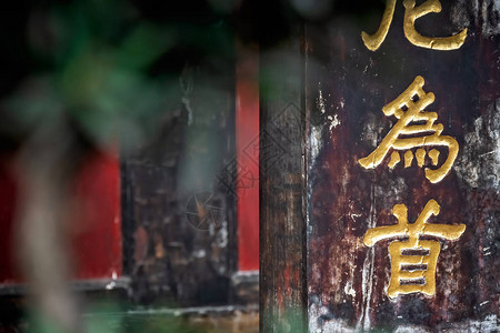 四川省成都文苏修道院墙上的金黄中图片