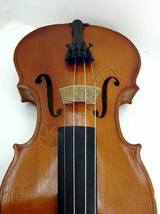 小提琴桥的细节图片