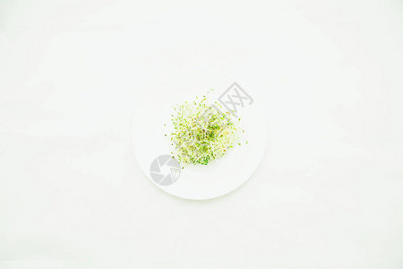 白色背景上盘子中的微绿色背景图片