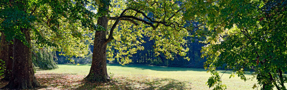 秋天在奥地利拉克森堡宫殿公园阳图片