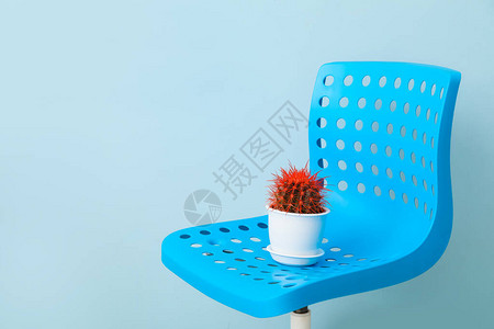 有仙人掌的椅子在颜色背景痔疮概念图片