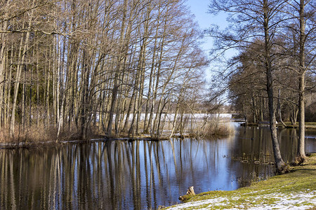 冬天的风景在瑞典阳光图片
