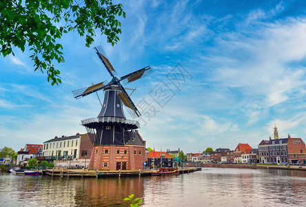荷兰哈勒姆运河的风车在一图片