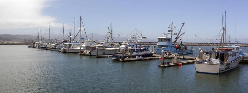在加州半月湾的支柱港图片