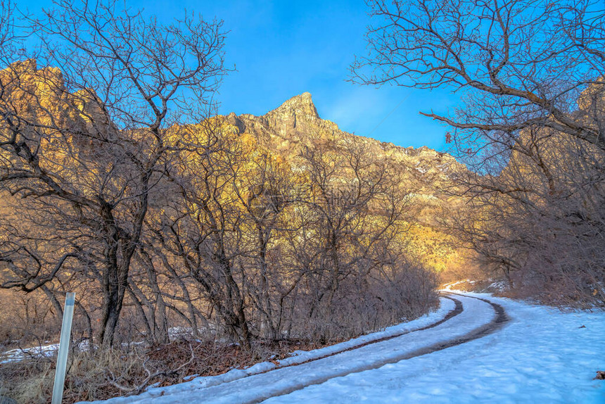 在雪地普罗沃峡谷的泥土路与冬季的山和蓝天相对立雪覆盖了棕色树木中无叶树图片