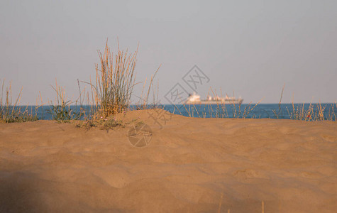 海景海滩船草在夏日图片
