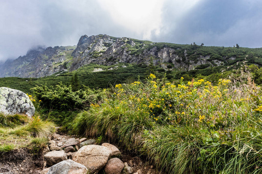 高塔特拉山全景图片