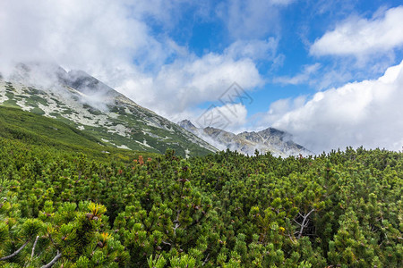 高塔特拉山谷图片