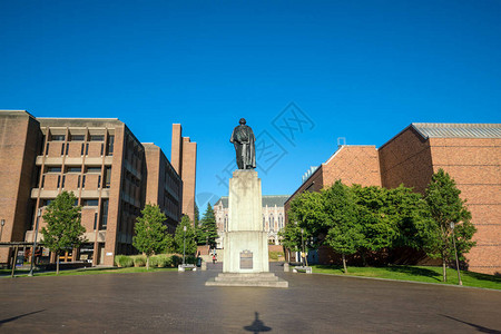 西雅图华盛顿大学旧建筑景观背景图片