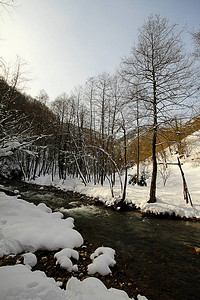 冬日下雪图片