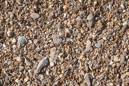 湿有色宝石的砾石图案鹅卵石的抽象自然背背景图片