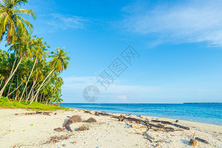 白色沙滩与椰子棕榈树绿松石蓝水珊瑚礁图片