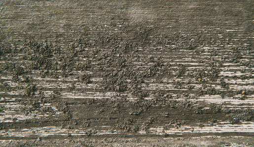 旧木背景上褪色的苔藓微距特写图片