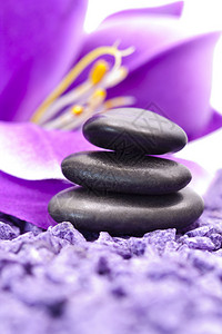 有紫色花的石头高清图片