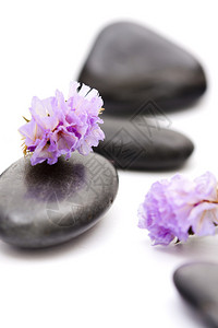 有紫色花的石头图片