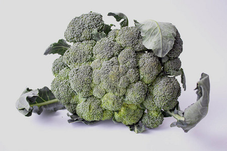 自产蔬菜新鲜的有机蔬菜花园里的蔬菜五颜六色的蔬菜健康的蔬菜隔离卷心菜图片