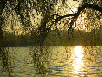 湖边的日落和休闲图片