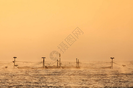 日出时海中的渔网背景为黄光和雾图片