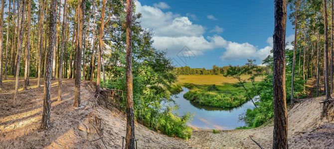 波兰中部的草原和森林环绕图片
