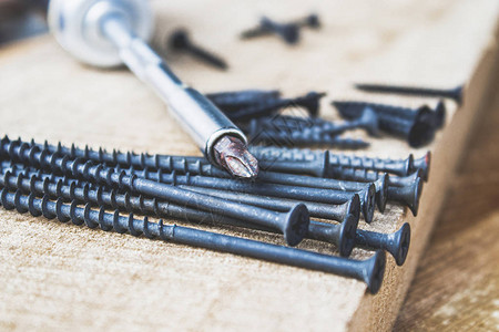 钢螺丝位于螺丝刀附近的木板上工具和维修工作的概念钢螺图片