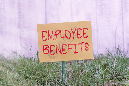 显示员工福利的书面说明雇主向工人支付的补偿形式的商业概念附在棍子上并放置在草背景图片