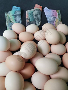 鸡蛋奥地利钞票和大量有机鸡蛋的消费和生产成本高清图片
