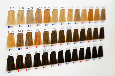 头发样本调色板套装不同色调的色调染发师图片