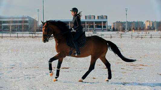 骑马户外骑马的年轻女子马术中景图片
